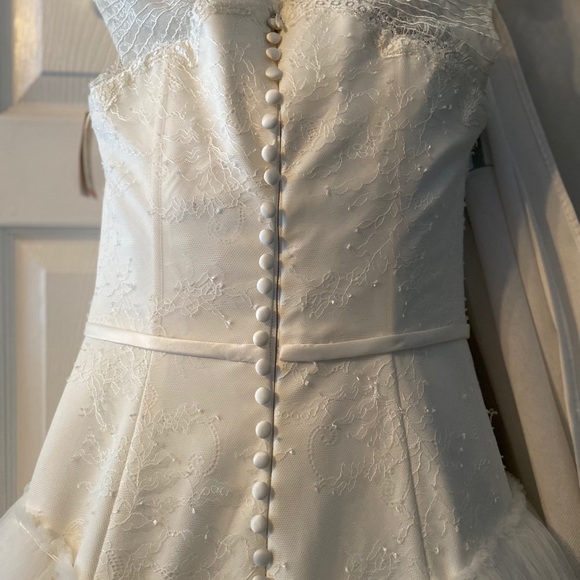 Zac Posen-Truly-Ivory Lace and Tulle Ballgown NWT - Picture 9 of 12